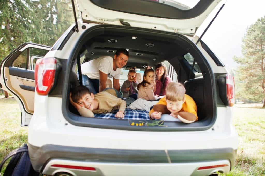 cargo liners